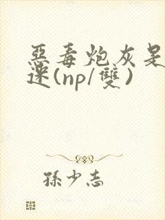 恶毒炮灰是万人迷(np/双)