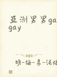 亚洲男男gaygay