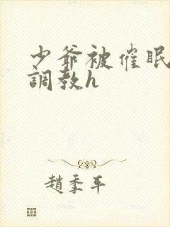 少爷被催眠玩弄调教h