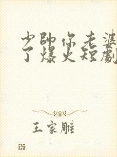 少帅你老婆又跑了爆火短剧