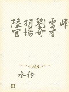 陆羽刘云峰小说官场奇才封面