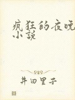 疯狂的夜晚苏柔小说