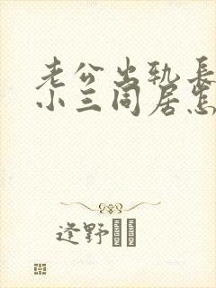 老公出轨长期与小三同居怎么办
