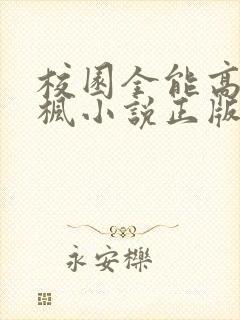 校园全能高手季枫小说正版