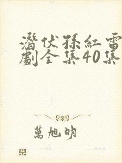 潜伏孙红雷电视剧全集40集免费观看