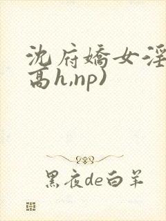沈府娇女淫史(高h,np)