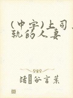 (中字)上司出轨的人妻