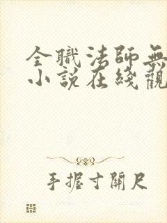 全职法师无删减小说在线观看封面