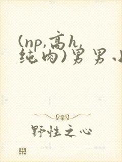 (np,高h,纯肉)男男小说