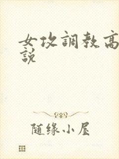 女攻调教高h小说