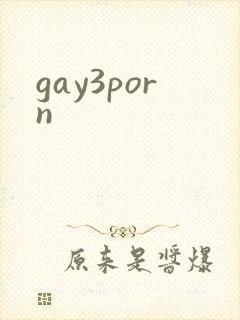 gay3porn封面