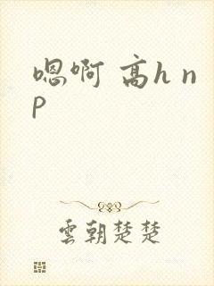 嗯啊 高h np