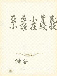 至尊小农民有声小说在线收听