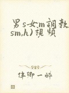男s女m调教(sm,h)视频