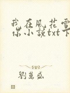 我在风花雪月等你小说txt下载封面
