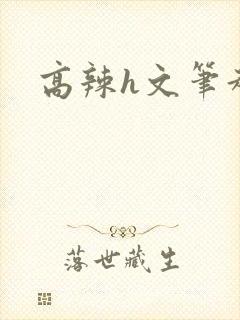 高辣h文笔趣阁