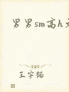 男男sm高h文