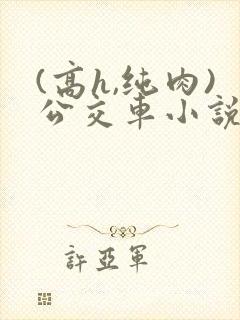 (高h,纯肉)公交车小说封面