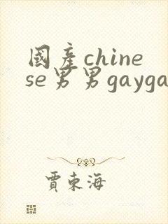 国产chinese男男gaygay网站2025