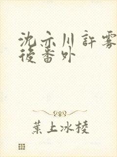 沈亦川许雾结局后番外