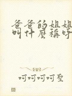 爸爸的姐姐丈夫叫什么称呼