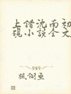 上错沈南初陆时砚小说全文免费阅读
