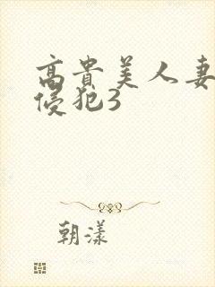 高贵美人妻被强侵犯3