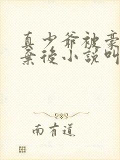 真少爷被豪门嫌弃后小说叫什么封面