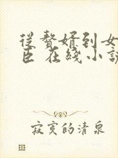 从赘婿到女帝宠臣 在线小说
