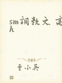 sm调教文 高h