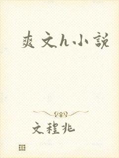 爽文h小说