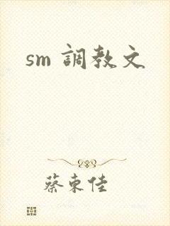 sm 调教文