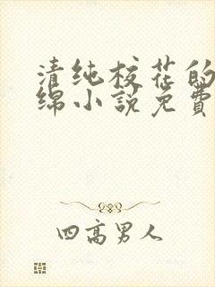 清纯校花的苏绵绵小说免费阅读