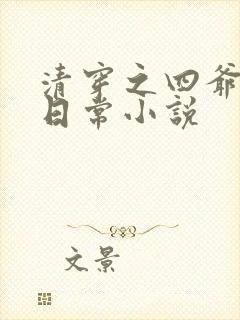 清穿之四爷宠妾日常小说