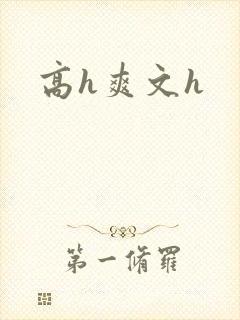 高h爽文h