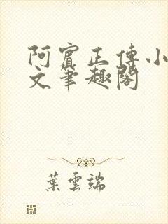 阿宾正传小说全文笔趣阁封面
