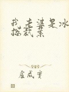 我老婆是冰山女总裁叶