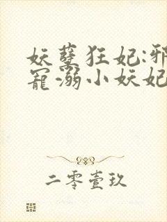 妖孽狂妃:邪君宠溺小妖妃
