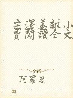 宋泽姜离小说免费阅读全文最新章节封面