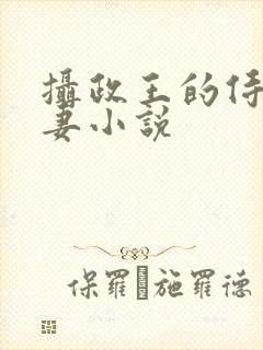 摄政王的侍爱逃妻小说