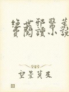 绝世邪医叶凡免费阅读小说封面