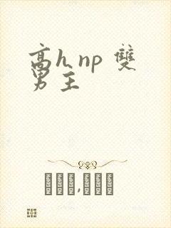 高h np 双男主