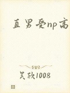 直男受np高h