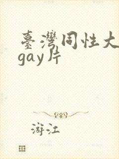 台湾同性大尺度gay片封面