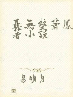 聂无双萧凤青原著小说