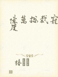 亿万总裁宠妻无度