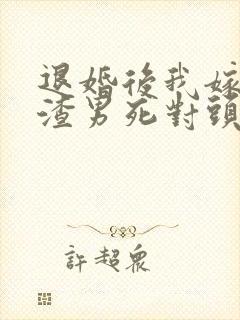 退婚后我嫁给了渣男死对头
