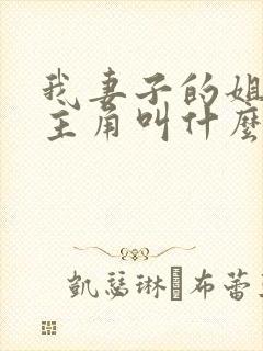 我妻子的姐姐女主角叫什么