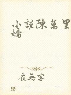 小说陈万里宋娇娇