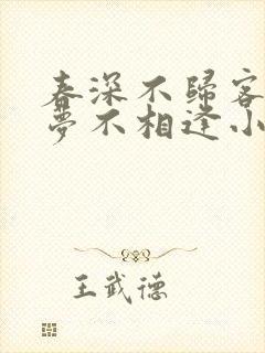 春深不归客,清梦不相逢小说阅读